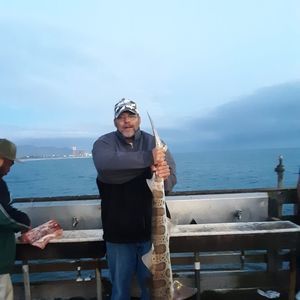 Meet your Posher, William